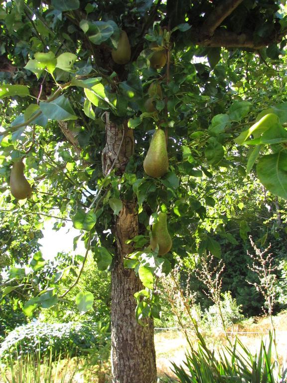 Casa Della Costa Villa Sechelt Ngoại thất bức ảnh